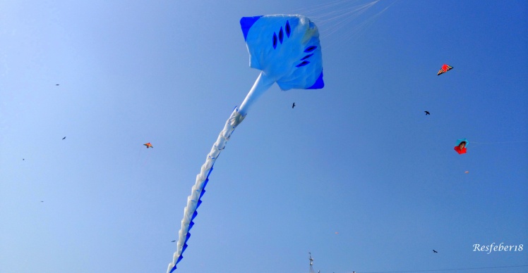 The International Kite Festival 2017, Ahmedabad